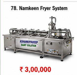Namkeen Fryer System 