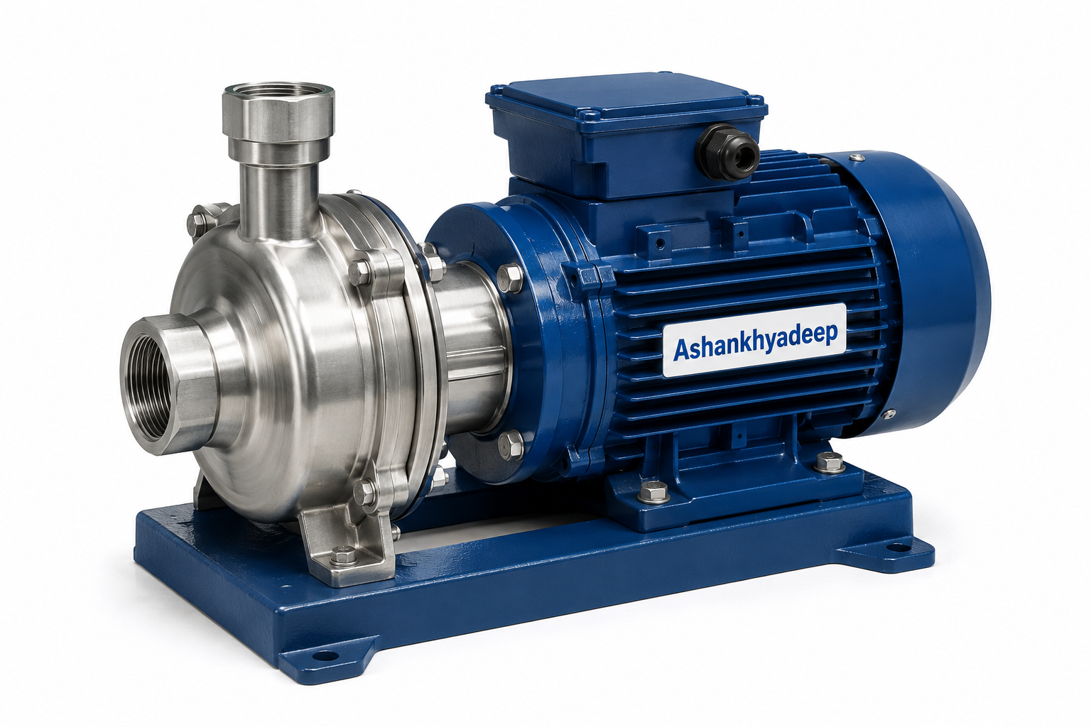 Raw Water Pump